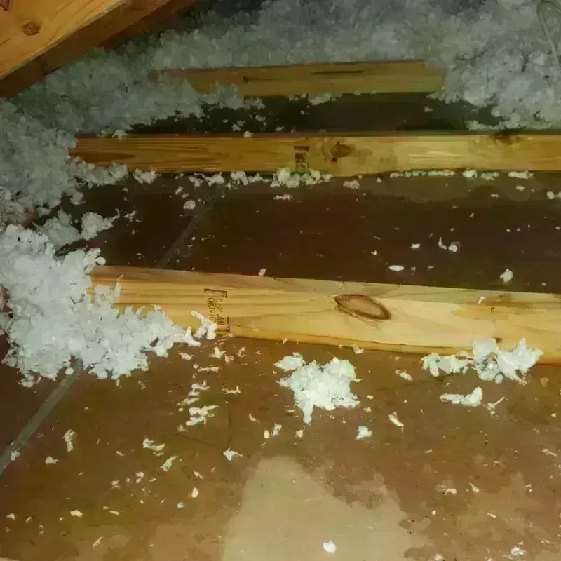 Attic Water Damage in Apollo, PA