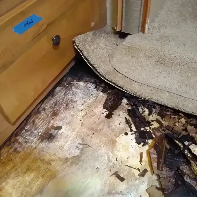 Wood Floor Water Damage in Apollo, PA